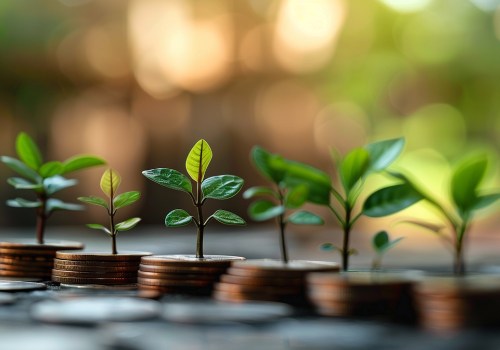 A Beginner's Guide to Balanced Funds: Protecting and Growing Your Wealth